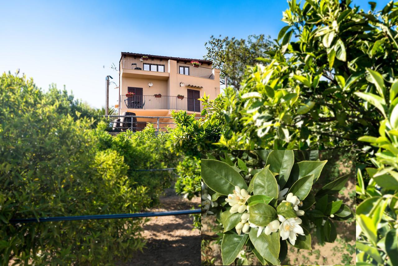 Parco Dei Templi Bed and Breakfast Agrigento Buitenkant foto